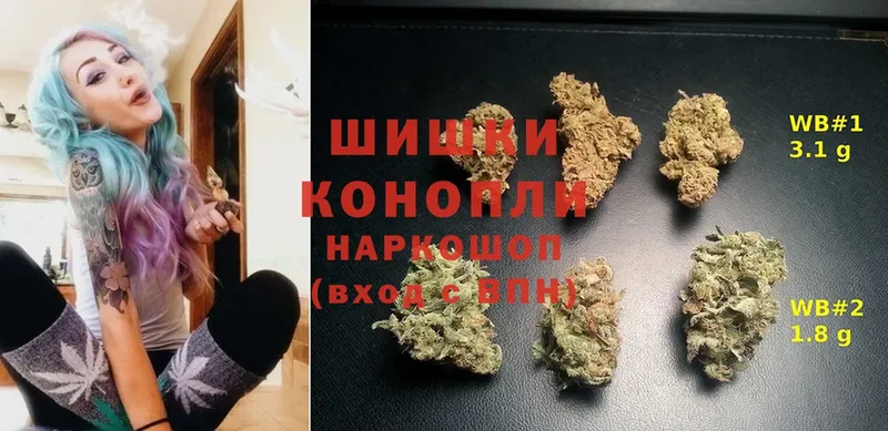 Каннабис план  Валдай 